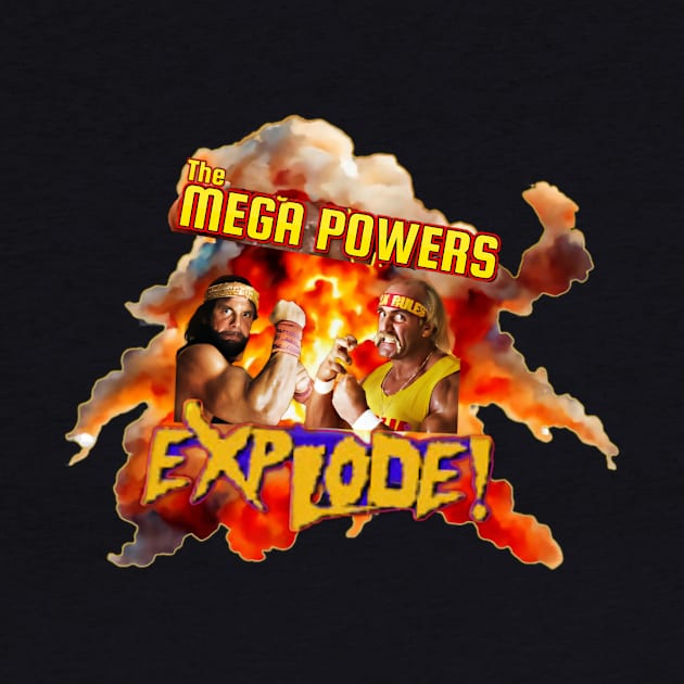 When the Mega Powers Exploded by The Store Name is Available